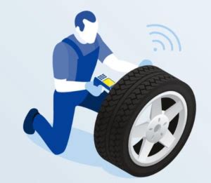 tire tagging software